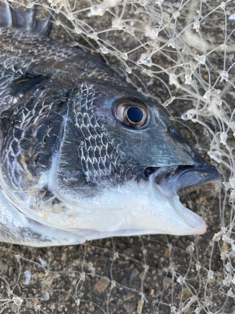 大雨2日後の落とし込み