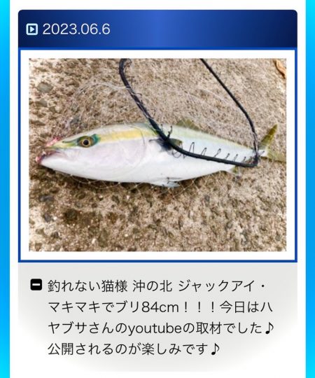 ショアブリゲットにゃ!