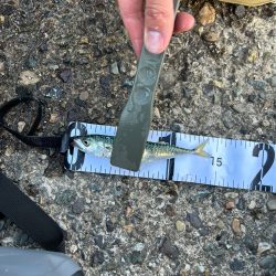 スーパーライトゲーム笑