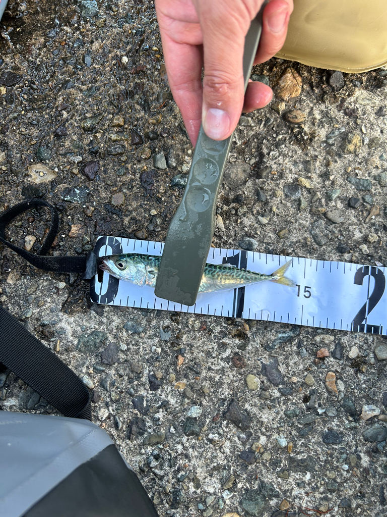 スーパーライトゲーム笑