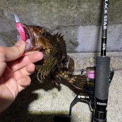 連日釣行の〆はガッシーで！