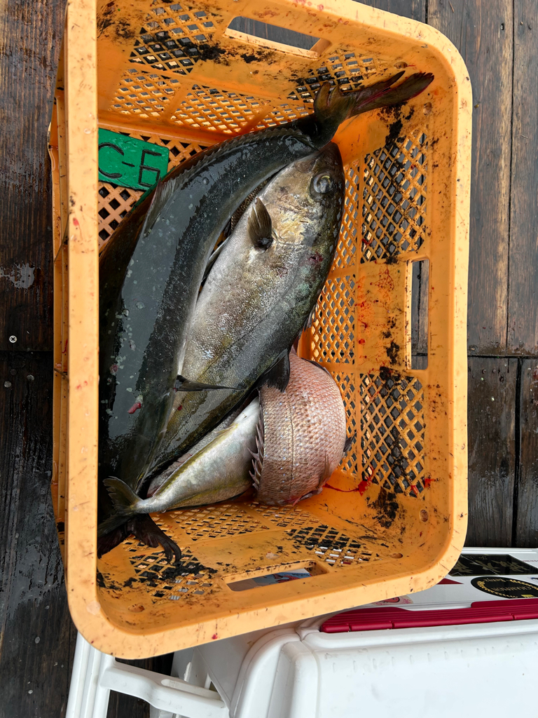 海上釣り堀　紀州