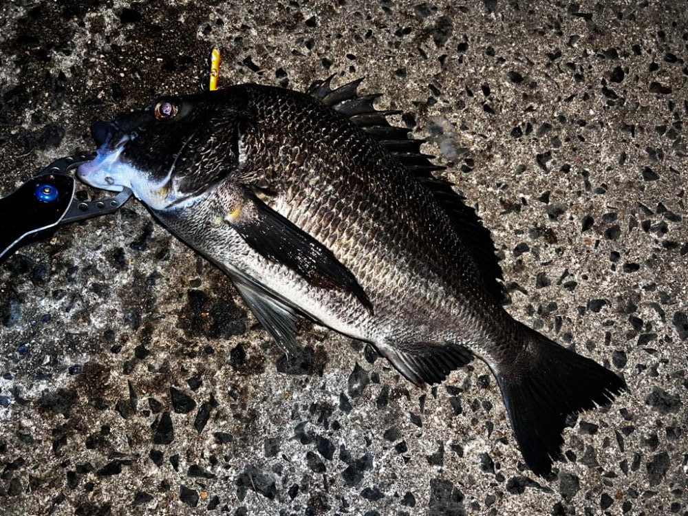 バイブレーションの早巻き!