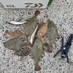 北海道移住後の釣初め