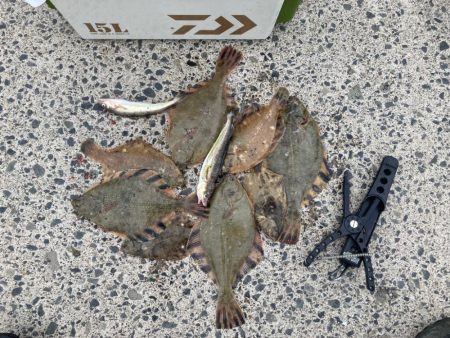 北海道移住後の釣初め