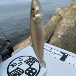 キス釣り釣行