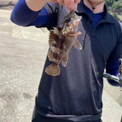 エギングの合間に