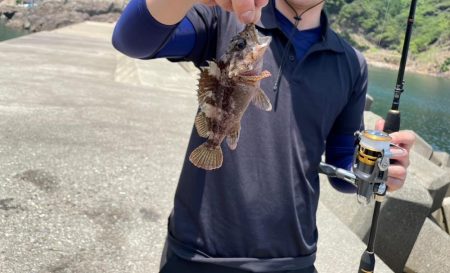 エギングの合間に