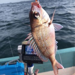 6/20 伊島沖タイラバ&ジギング