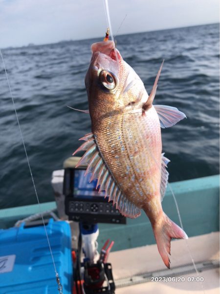 6/20 伊島沖タイラバ&ジギング