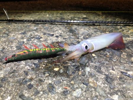 季節はずれの一杯