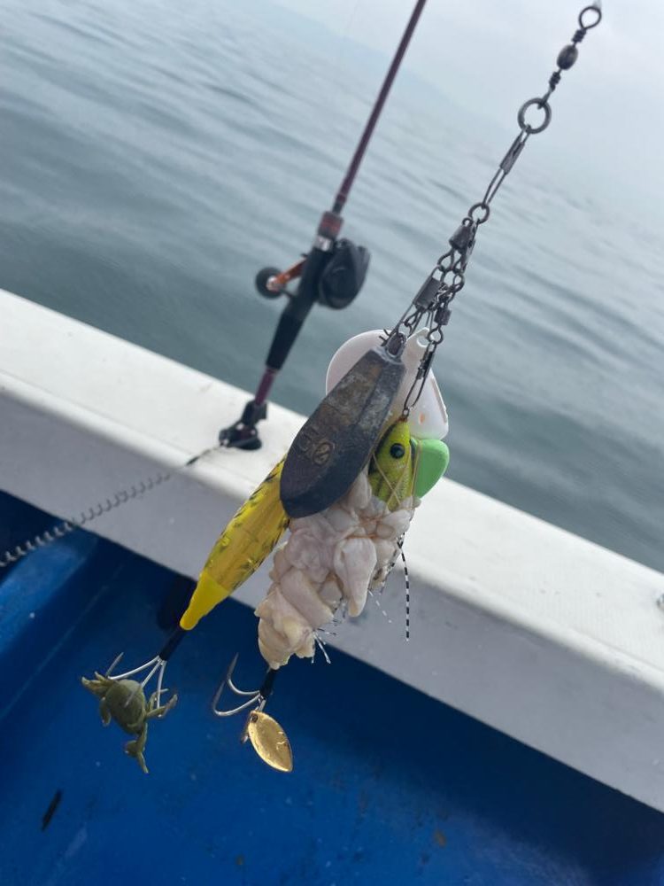 明石　船タコ釣り