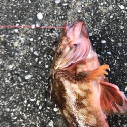 大きくなれよ！