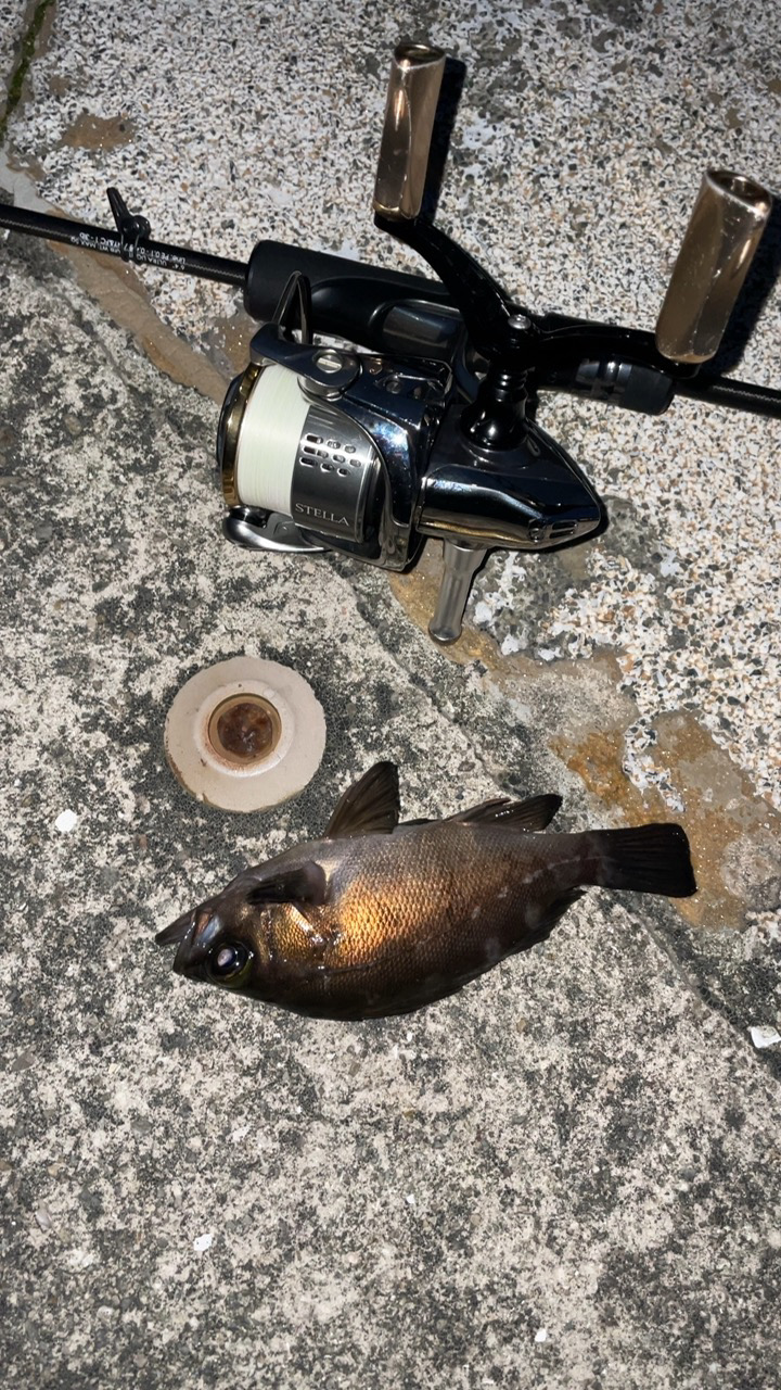 爆風メバリング