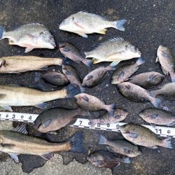 少し雨が降る中からスタート