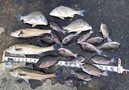 少し雨が降る中からスタート