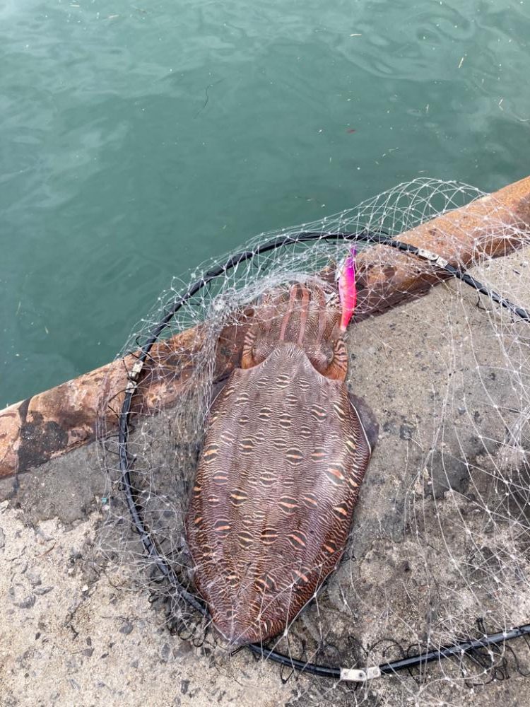 自己最高の大物ゲット！