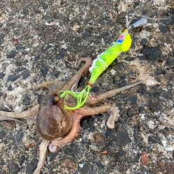 ⭐︎若干苦潮？