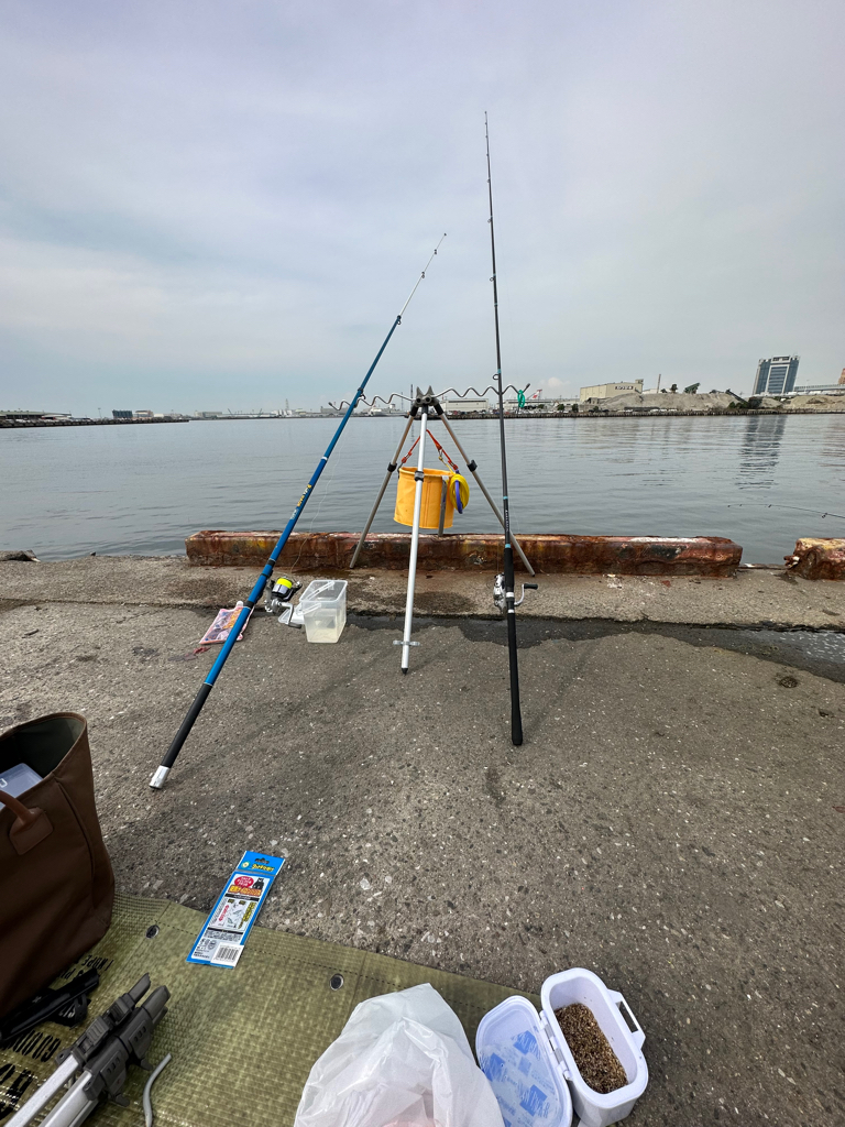 イワシ、アジ、キス