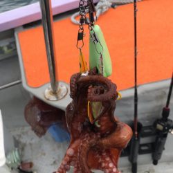 淡路室津のタコ釣り