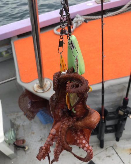 淡路室津のタコ釣り