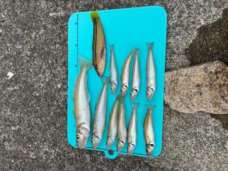 キスゲーム　ちょい投げ