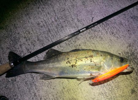 バチ抜け&チニング