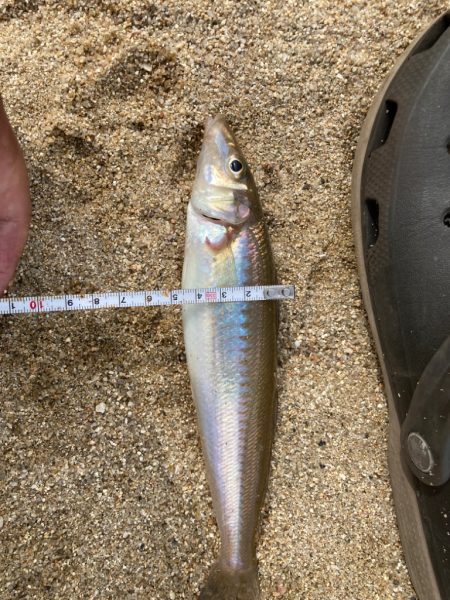 粘り勝ちでデカギス