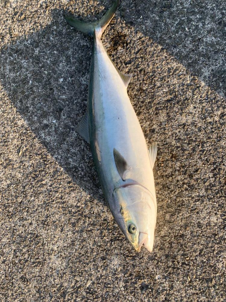 3年目の念願！！