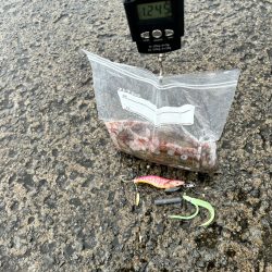 久々にキロ超え