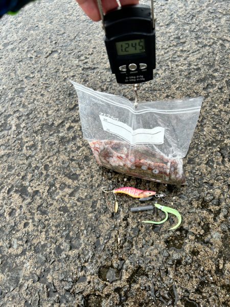 久々にキロ超え