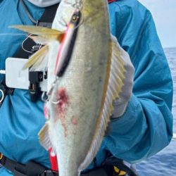 SLJで本命イサキとガチのモンスター