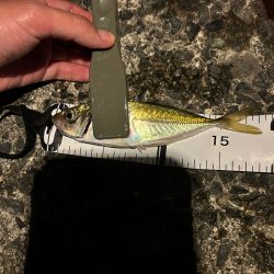 音海ライトゲーム