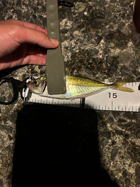 音海ライトゲーム