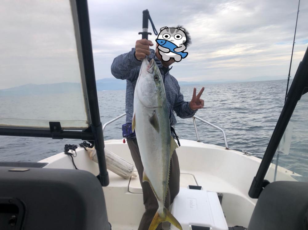 ブリが釣れました🐟