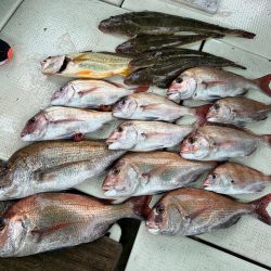 ひとつテンヤ釣行