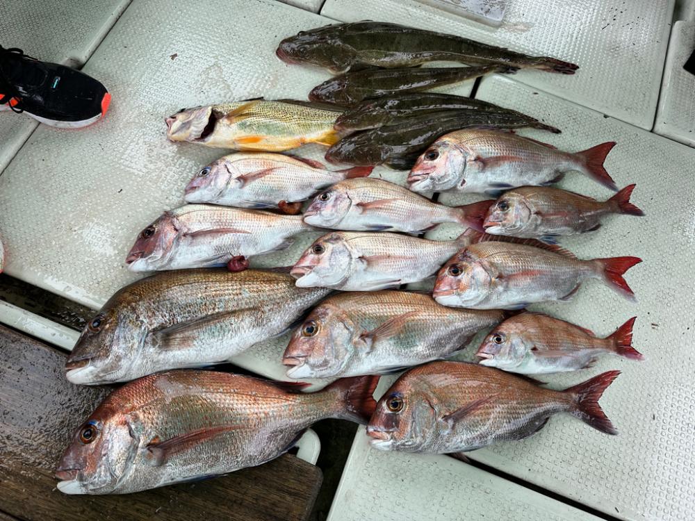 ひとつテンヤ釣行