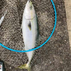 台風後はどうなん？