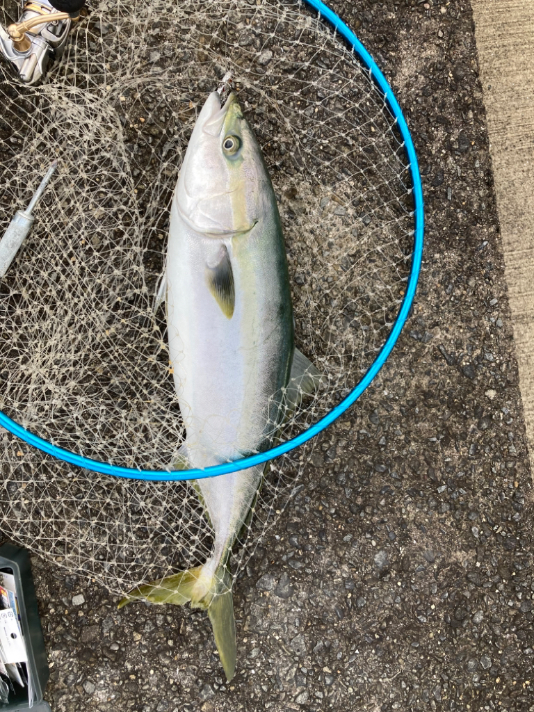 台風後はどうなん？