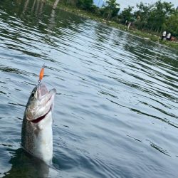 高島の泉最高　バーベキューも最高