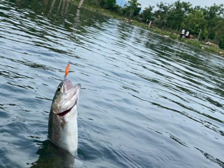 高島の泉最高　バーベキューも最高