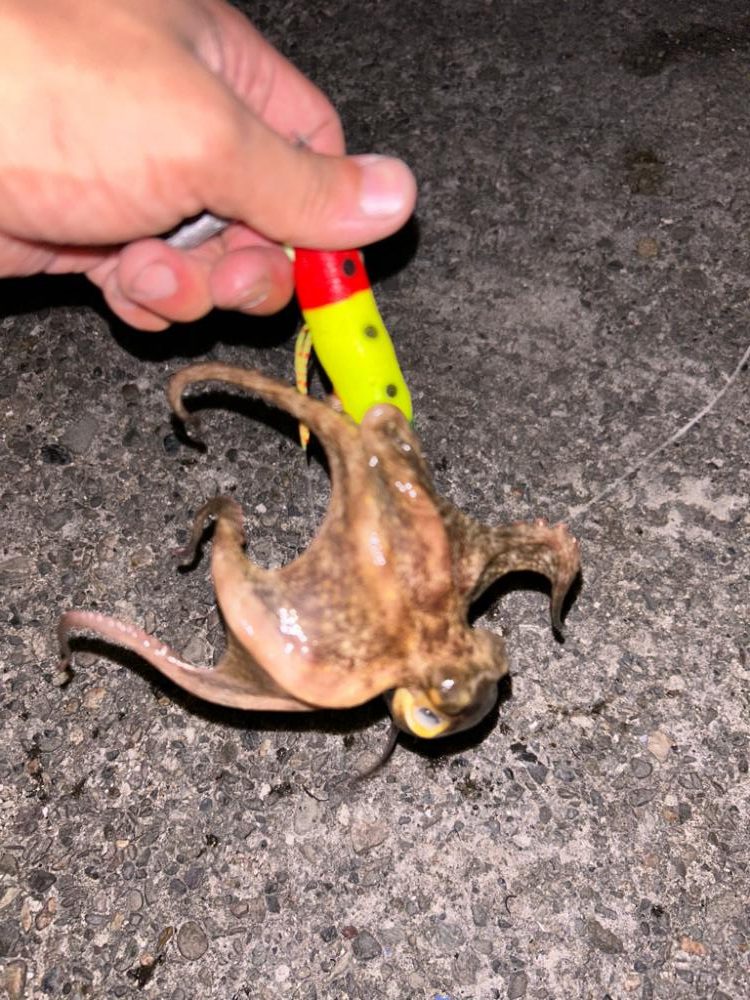 オクトパッシング