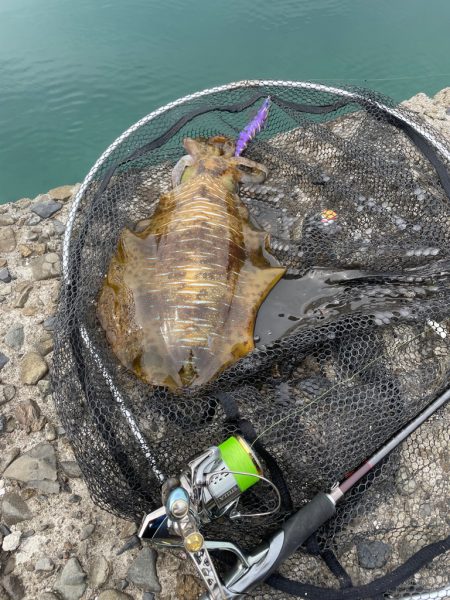 制限時間あり釣行