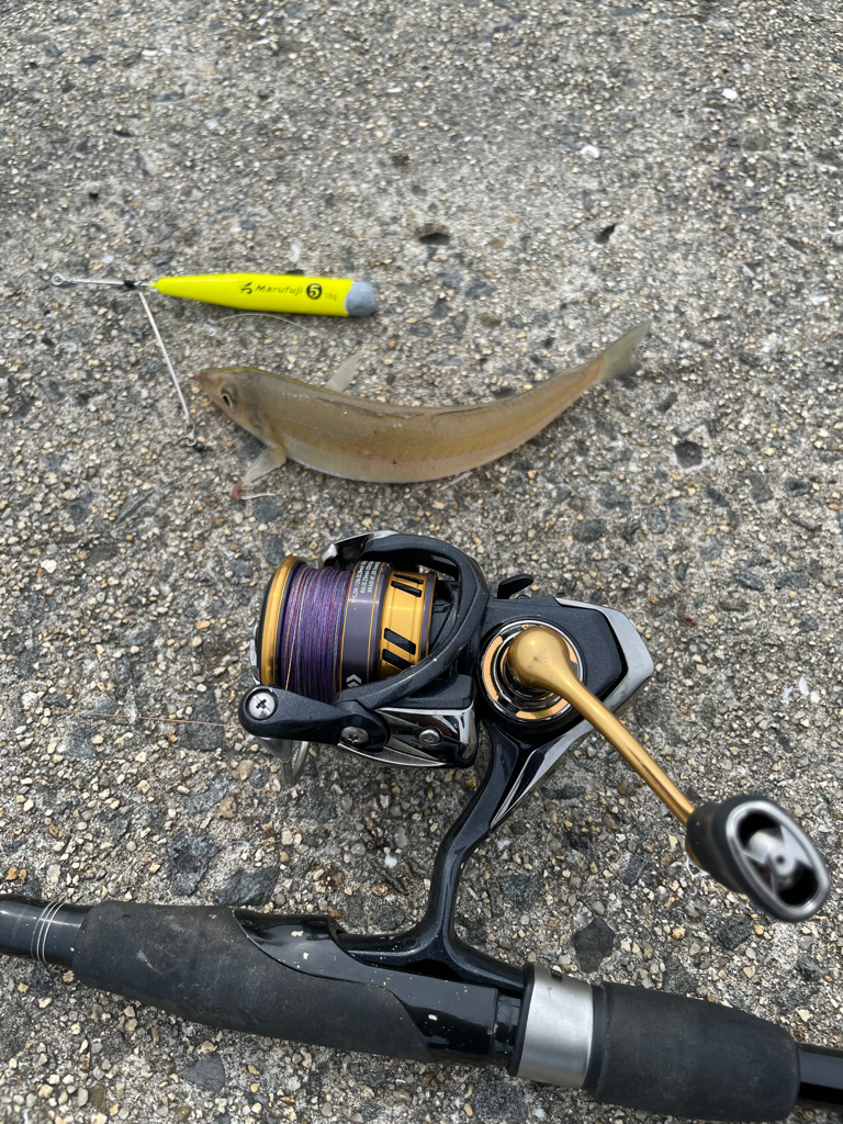 釣れるけど後が続かない