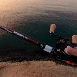 【アオリイカ】ベイトタックルで今年初GET