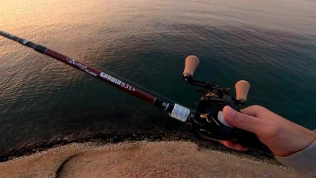 【アオリイカ】ベイトタックルで今年初GET