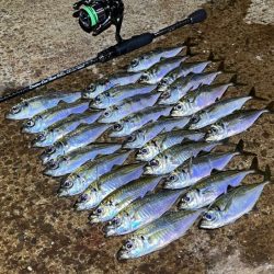 ２３ヴァンキッシュ１０００ＳＳＳＰＧ鱗付け