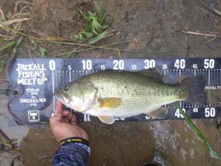 なんとついてるんだ、リミットメイク！