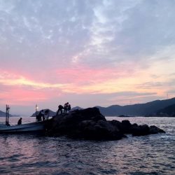 和歌山大引の磯でフカセ釣り