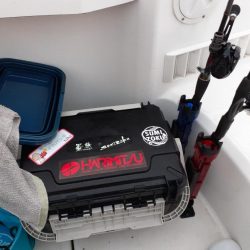 ボチボチ釣れました🦑